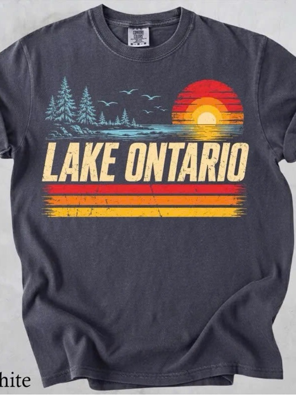 Comfort Colors Charcoal 'Lake Ontario' Graphic Tee, Anti Shirt